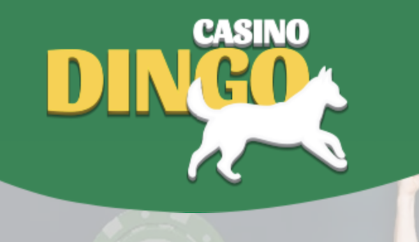 Casino Dingo Opinion 2021